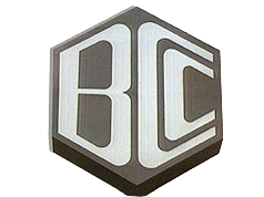 BCCI Official Logo